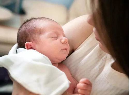 国家卫健委推进全国托育服务 上海现场会指明婴幼儿照护新方向